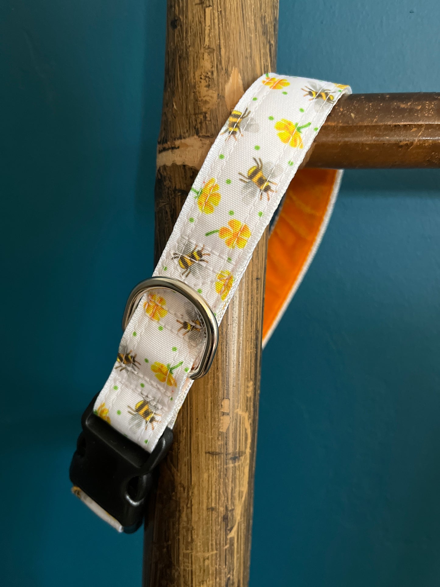 Bees Knees Dog Collar & Lead Set