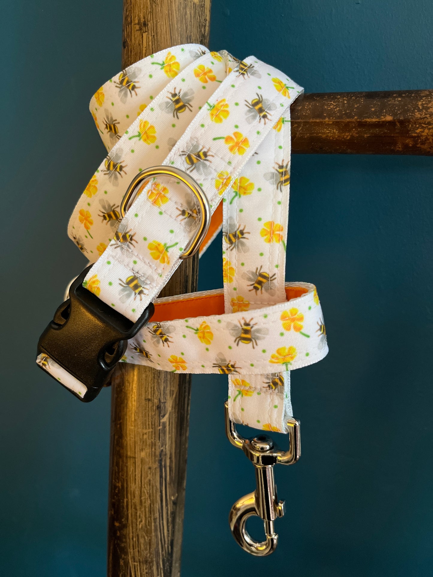 Bees Knees Dog Collar & Lead Set