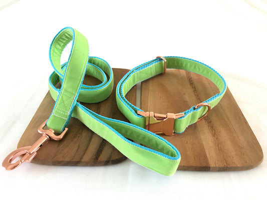 Fresh Lime Velvet Dog Collar & Lead Set