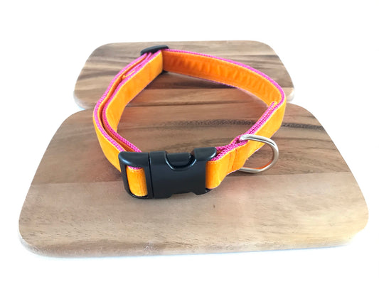 Happy Orange Velvet Dog Collar