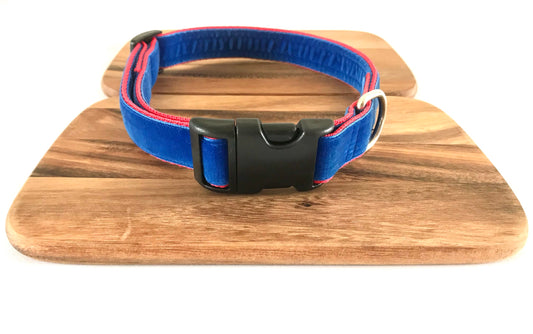 True Blue Velvet Dog Collar