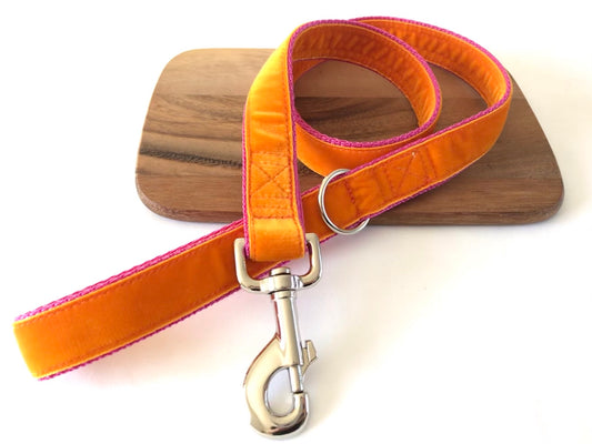 Happy Orange Velvet Dog Lead