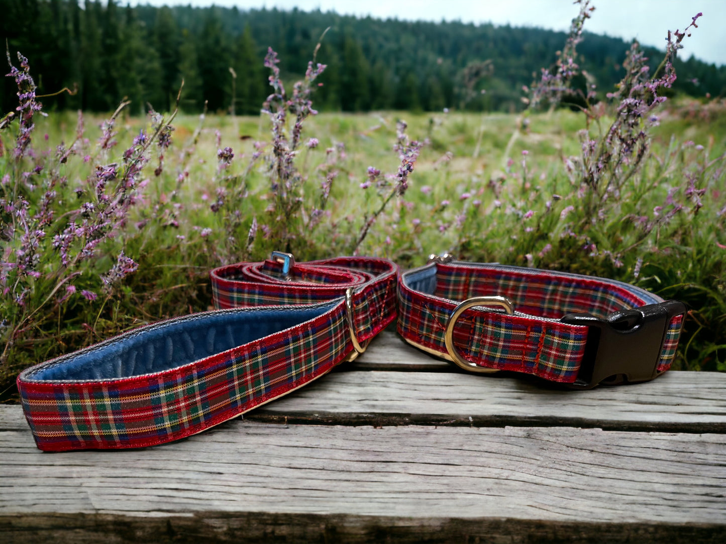 Royal Stewart Tartan Dog Collar & Lead Set